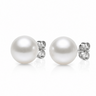 10-11mm white South Sea round pearl stud earrings with white gold backing. 