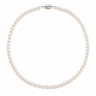 5-6mm White Freshwater Pearl Necklace 