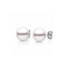 6.0-6.5mm White Akoya Pearl Stud Earrings with white gold backing