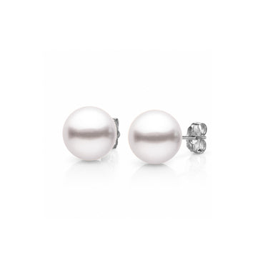 6.0-6.5mm White Akoya Pearl Stud Earrings with white gold backing