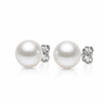8-9mm white South Sea round pearl stud earrings with white gold backing. 