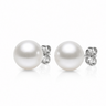 9-10mm white South Sea round pearl stud earrings with white gold backing. 