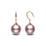 Purple freshwater pearl fish hook earrings with gold setting