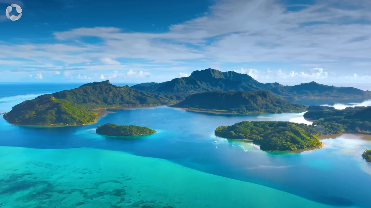 Born in French Polynesia