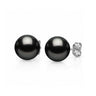 Tahitian South Sea Round Pearl Stud Earrings with white gold posts