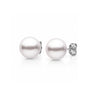 White Akoya Pearl Stud Earrings with white gold backing