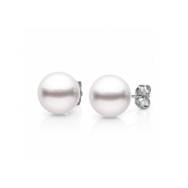White Akoya Pearl Stud Earrings with white gold backing