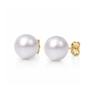 White Freshwater Pearl Stud Earrings with yellow gold posts