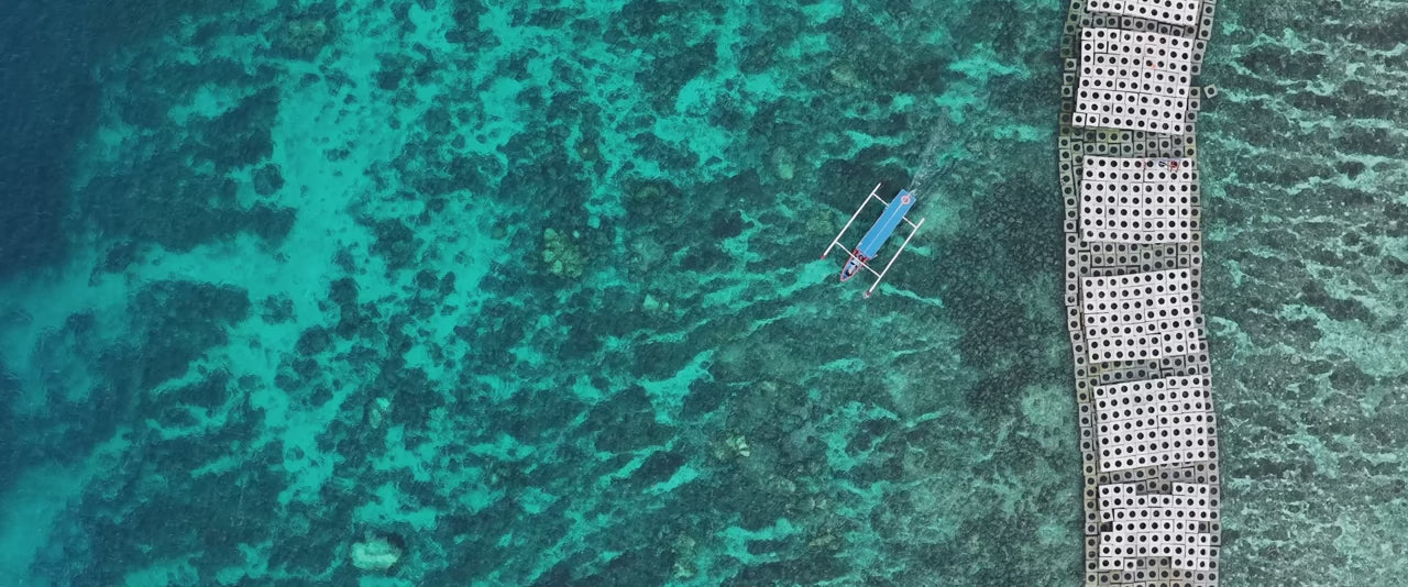 De Blancas Pearl Farm Video