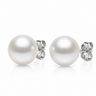 white South Sea round pearl stud earrings with white gold backing. 